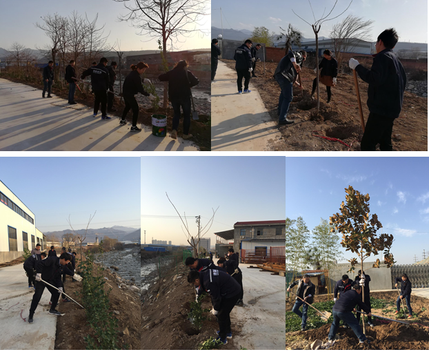 寶雞捷銳“迎春風，綠家園”植樹節(jié)(圖1)