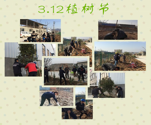 寶雞捷銳“迎春風，綠家園”植樹節(jié)(圖3)